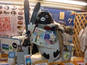 070128suica1