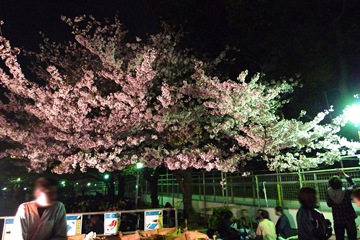 上野公園その2