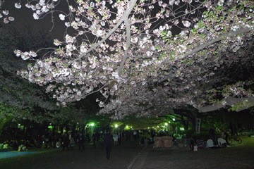 上野公園その1