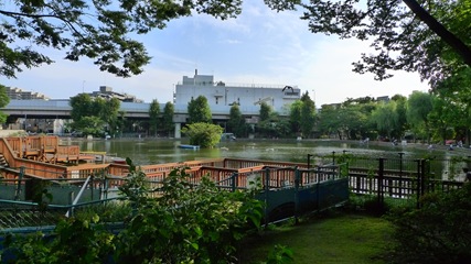 公園