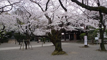 靖国神社2