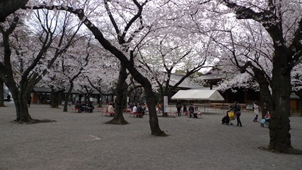 靖国神社3