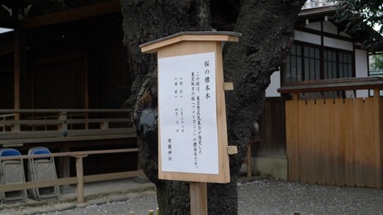 靖国神社5