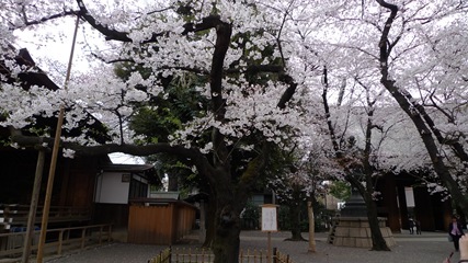 靖国神社4