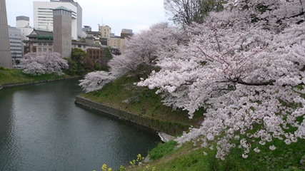 北の丸公園2