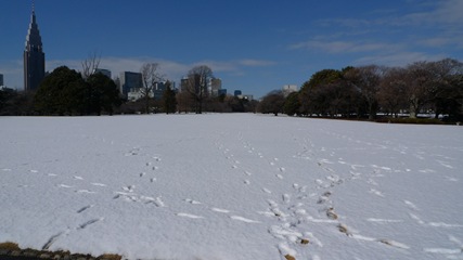 新宿御苑10